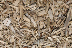 biomass boilers Whitestone